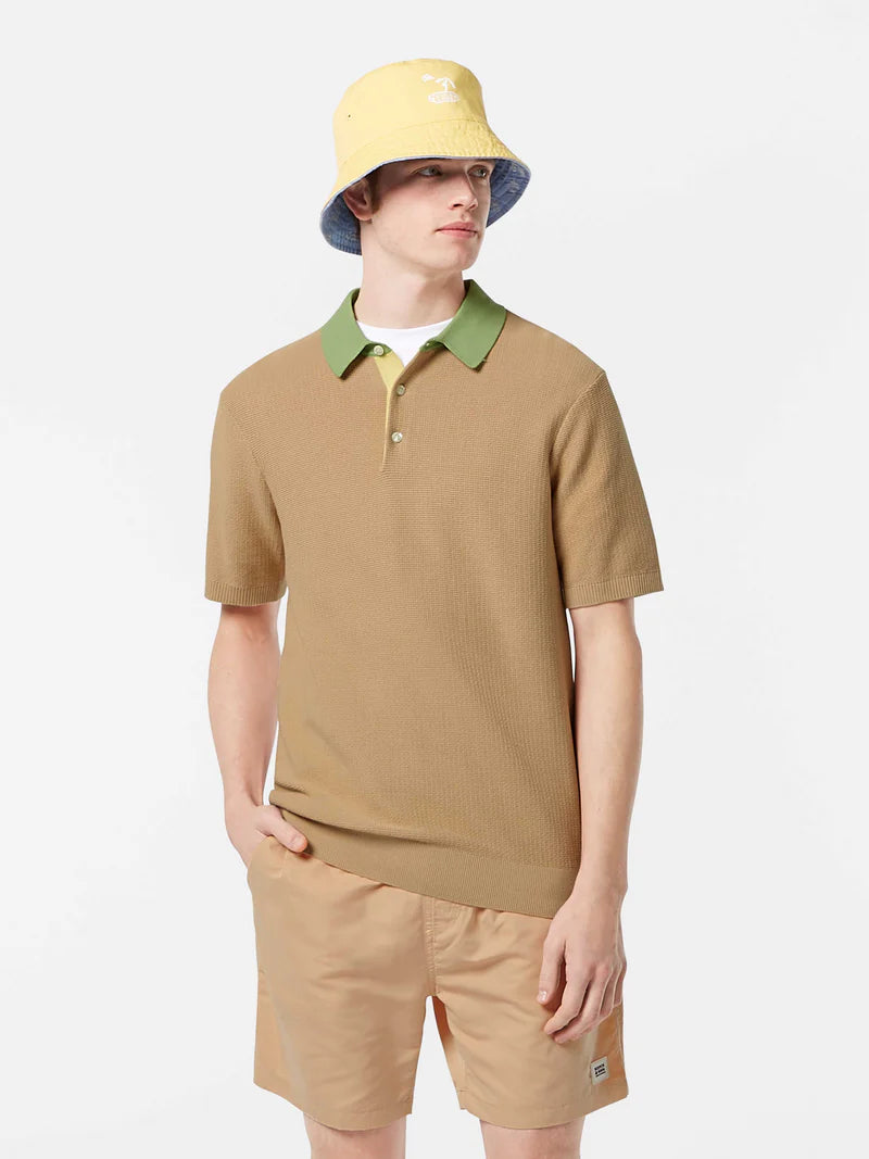 Contrast Collar Knit Polo