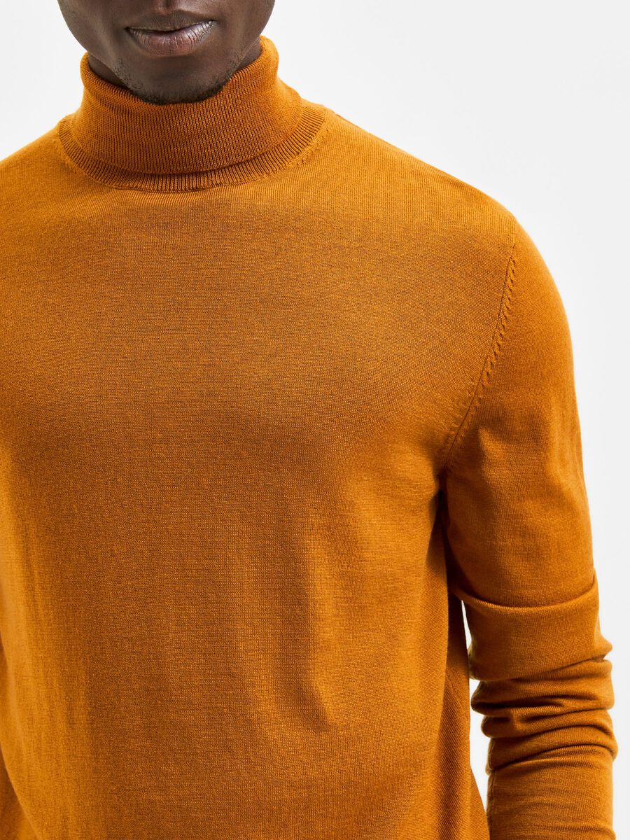 Merino Wool Turtleneck