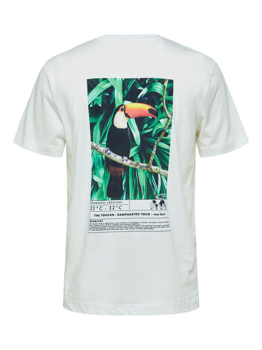 Toucan Tee