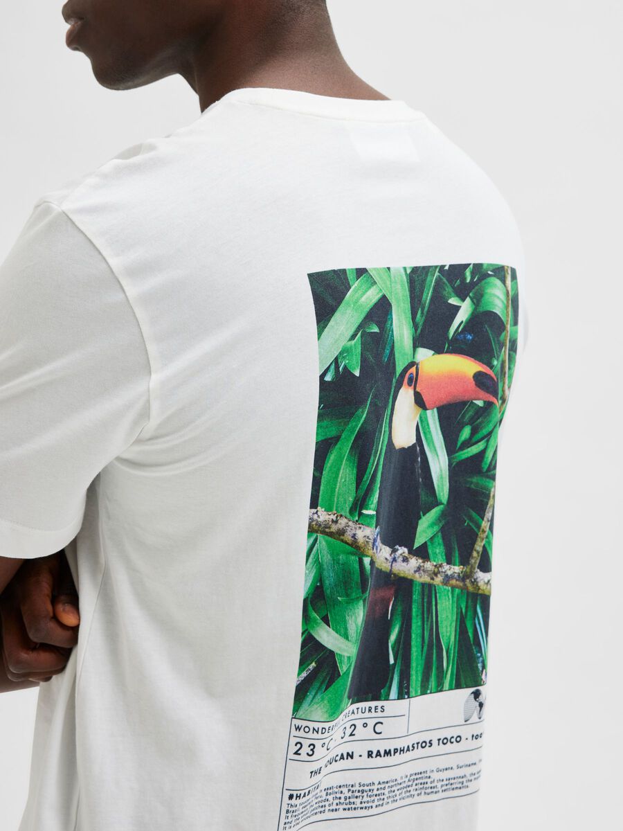 Toucan Tee