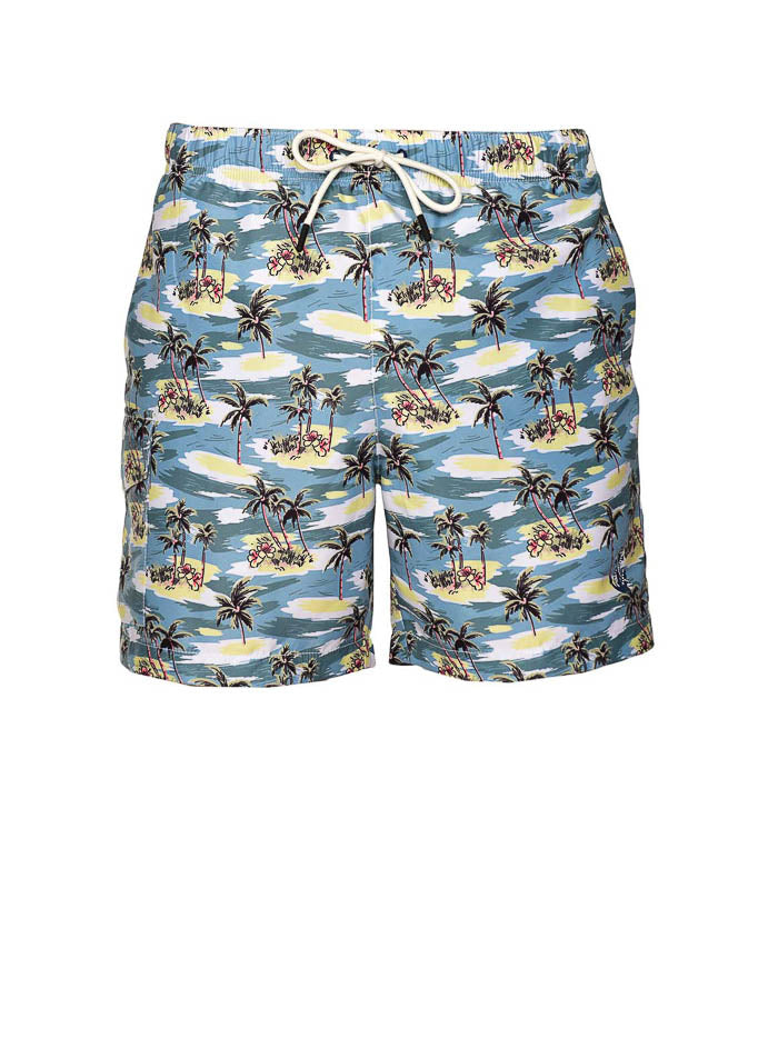 Tropical Island - Swim Trunks